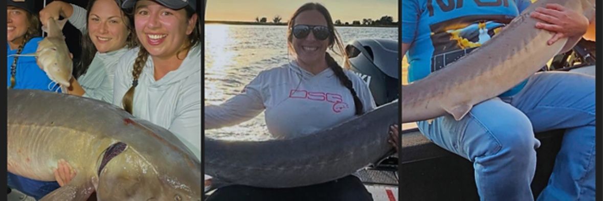 Antifa Escalator of Doom banner