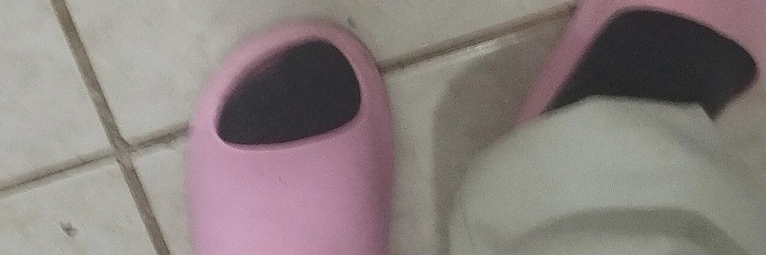EoAlenevida's profile banner image