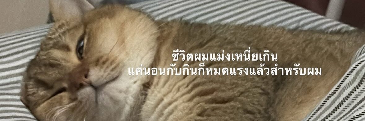 miippeuda's profile banner image