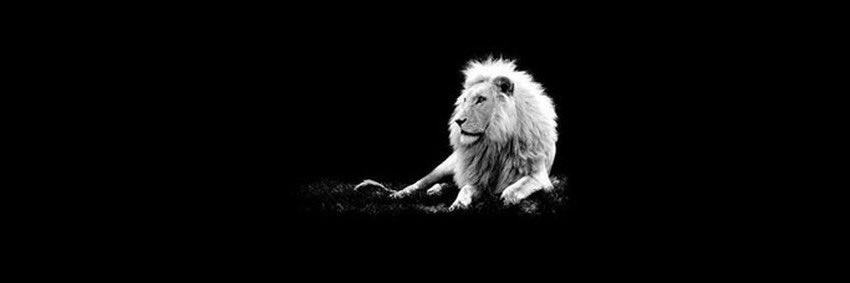 deeboii09's profile banner image