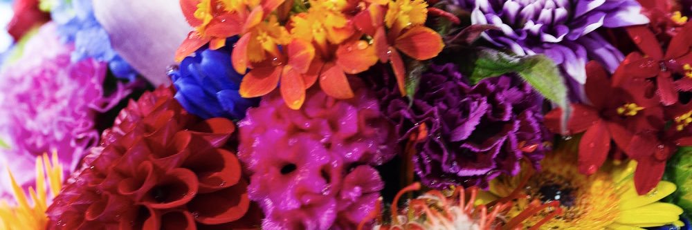 echobb66's profile banner image