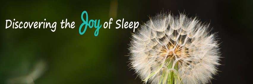 SensitiveSleepers banner