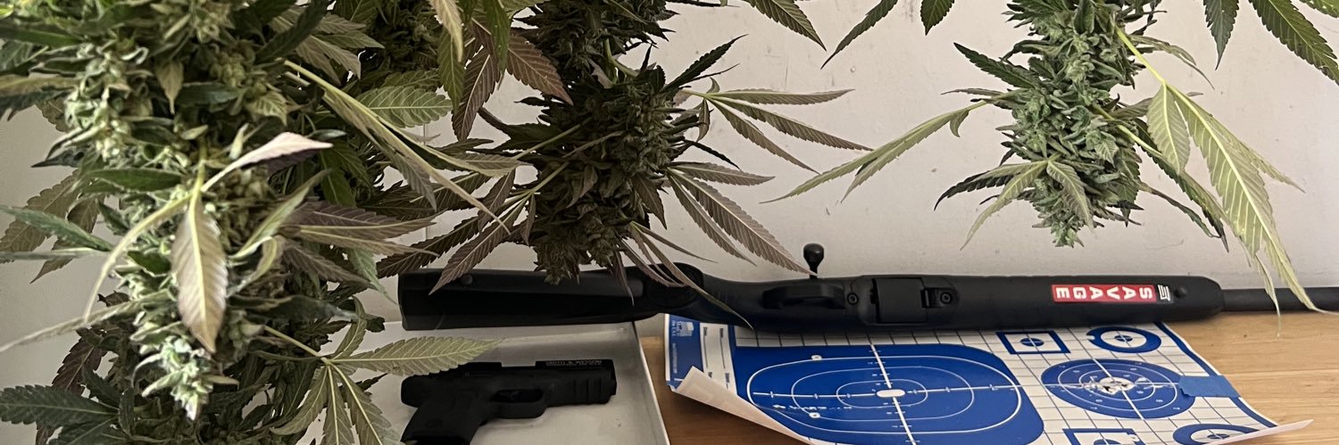 this is the way i live banner