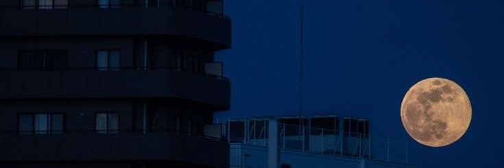 Dyanchik2's profile banner image