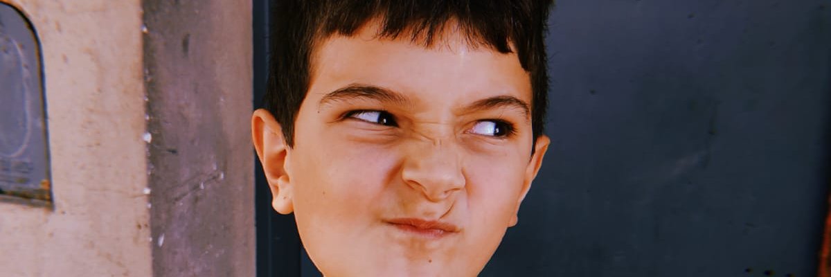 DelfinaSolanes's profile banner image