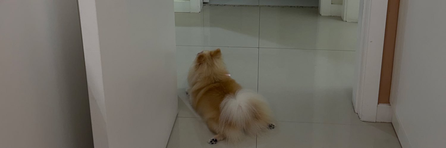 caroldbbz's profile banner image