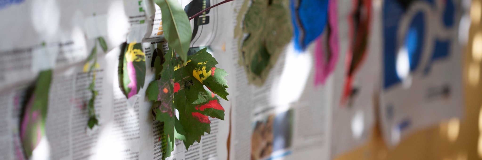 Karina Pereira banner