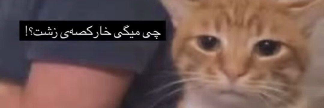 raminismm's profile banner image