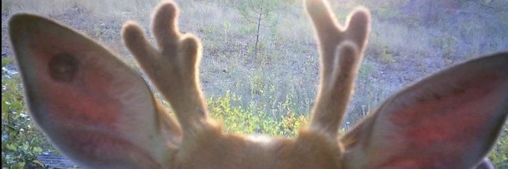 i kissed todd anderson. banner