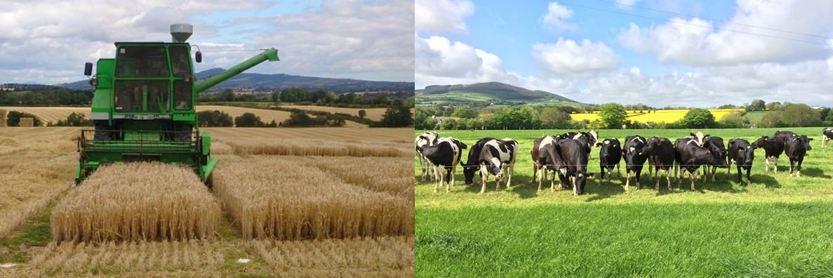 Dr. Patrick Forrestal banner