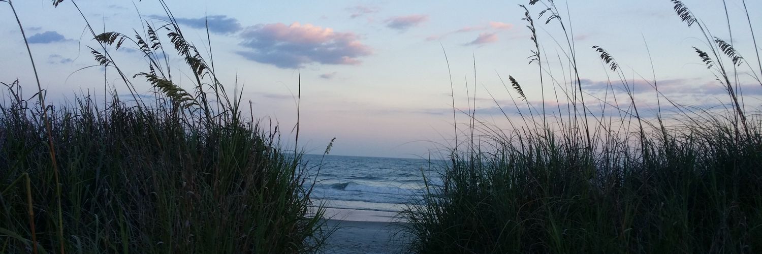 peetajoyal's profile banner image