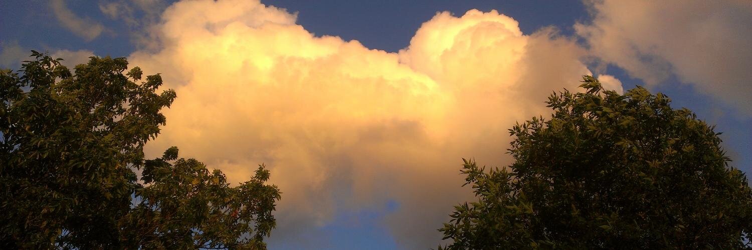 cplourde's profile banner image
