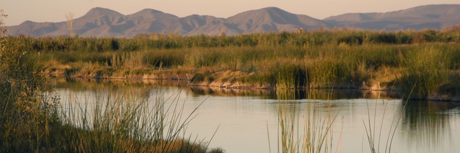 Luis Alberto Heredia banner
