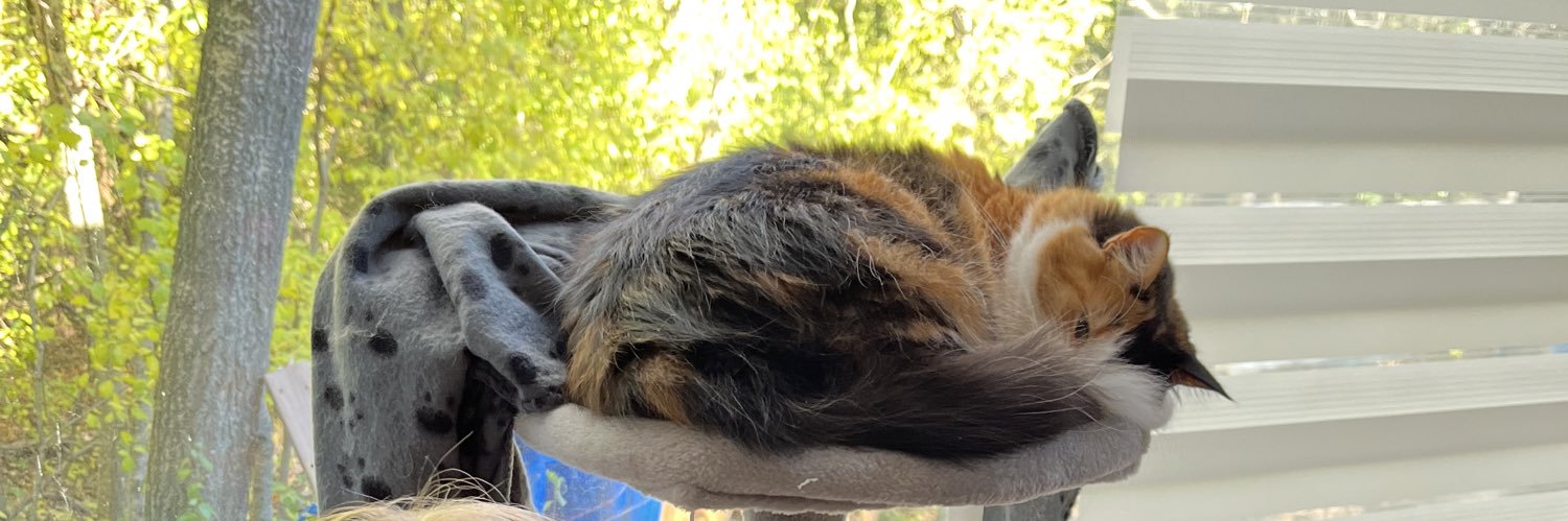 amybeaney's profile banner image