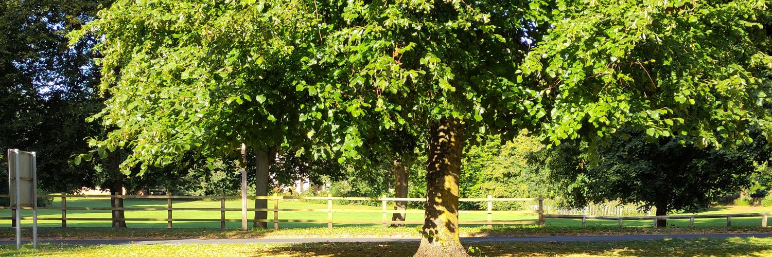 WellbeinginYork's profile banner image