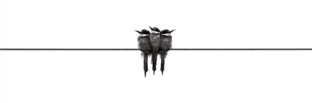 mugebaris's profile banner image