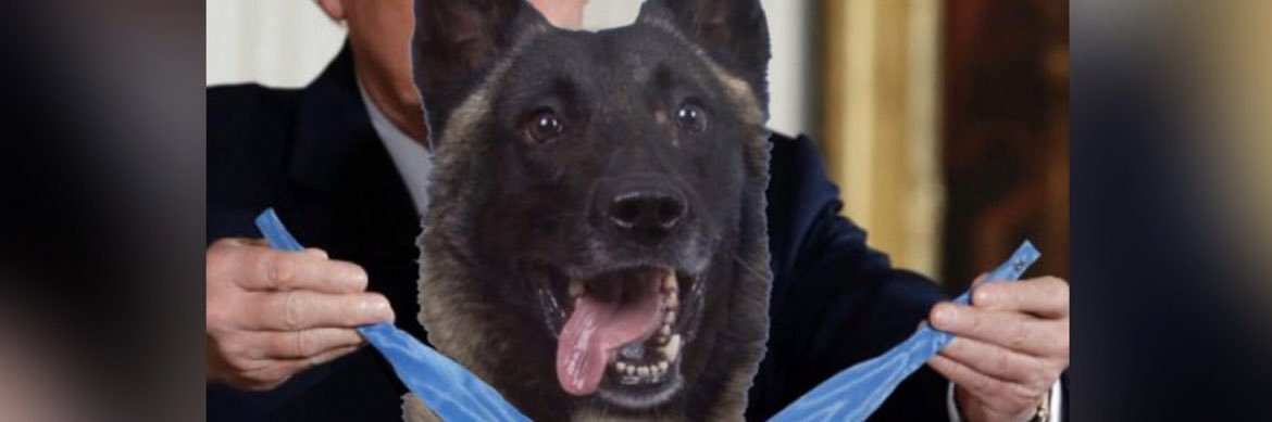 Tom_blah_blah_blah banner