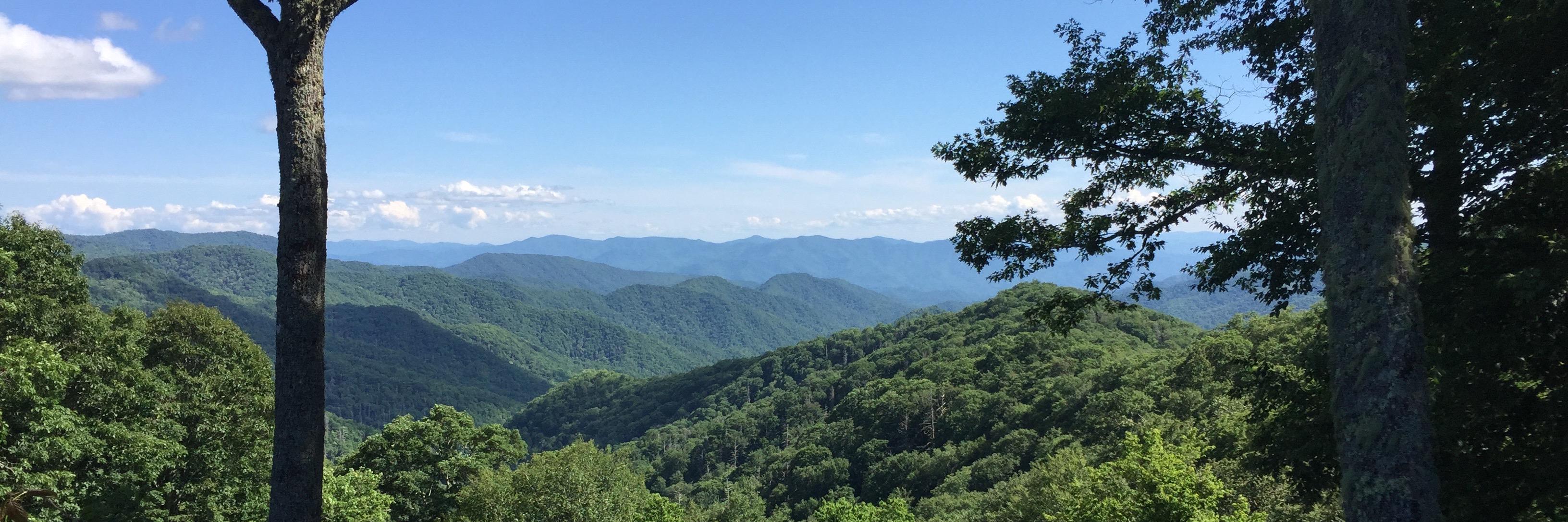 rwstew4's profile banner image