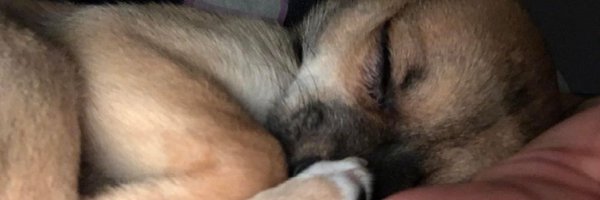 fearlesslil1 Profile Banner