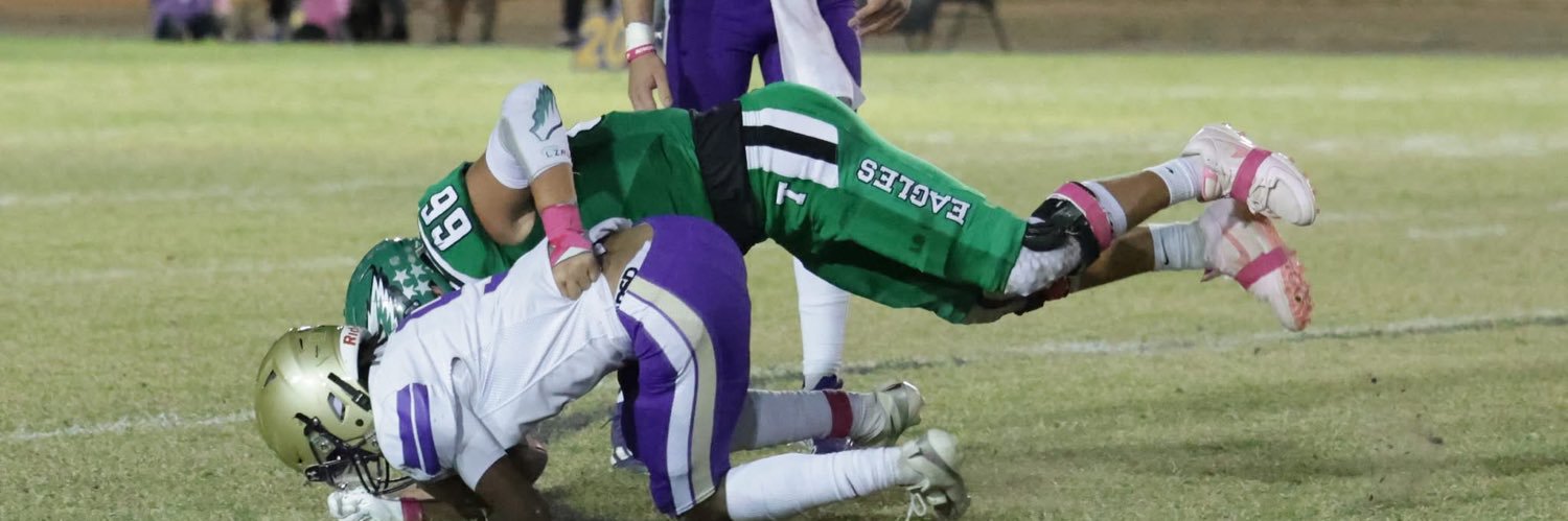 TRAVIS LARSON banner