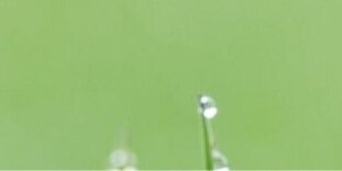 A2006b4's profile banner image