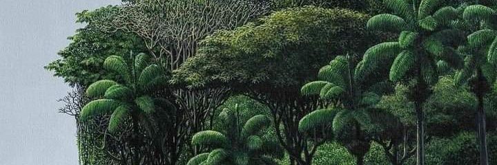 pBilleri's profile banner image