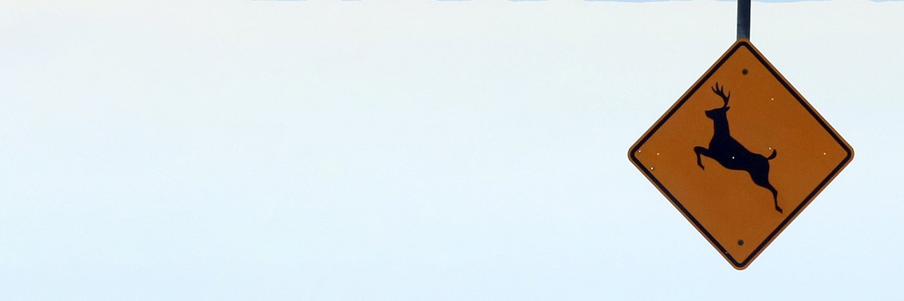 CeruDraws's profile banner image