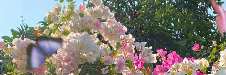 fkgfkgfkg 26' banner