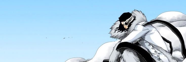 Coyote Starrk banner