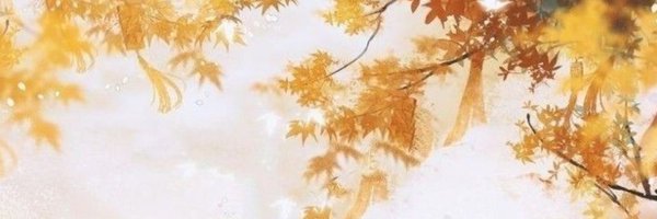 CurlyTheCaptain Profile Banner