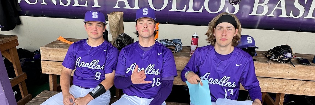 SunsetBaseball banner