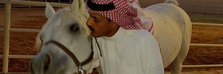 LaylaGab123978's profile banner image
