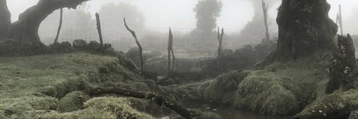 HappyPlebI💚CO24Farms&Countryside banner