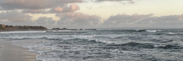 whitneyxxwright Profile Banner
