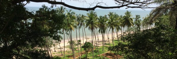 Sidique50 Profile Banner