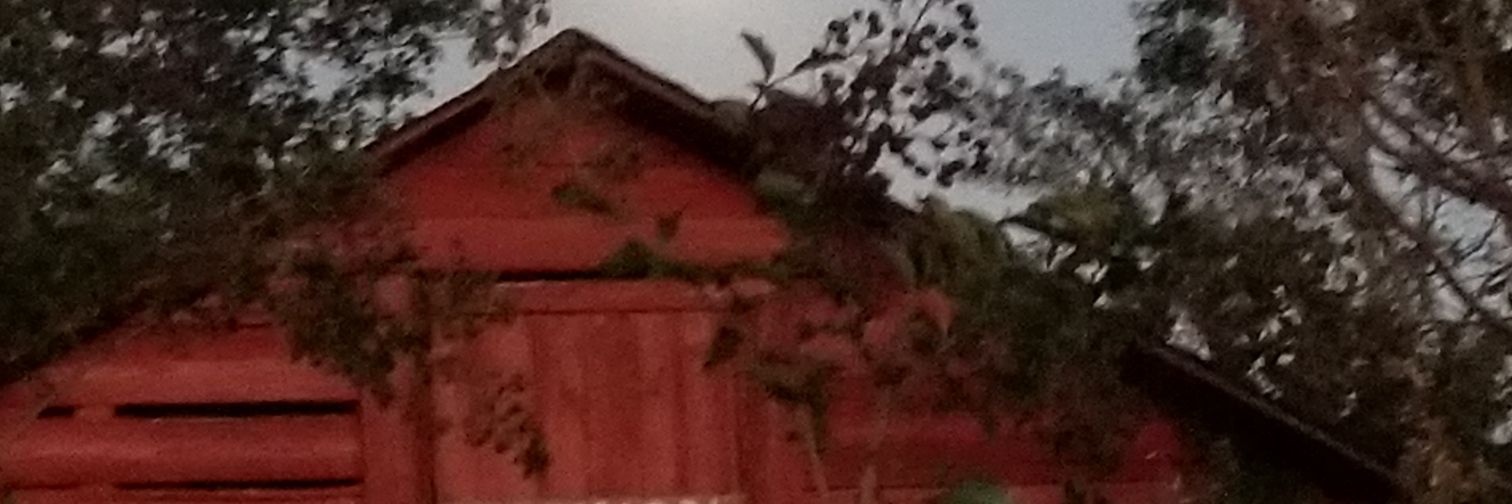 CannonDewey's profile banner image