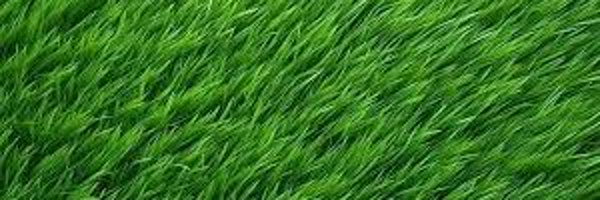 yandeyka Profile Banner