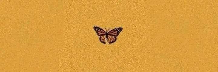 🦋 banner