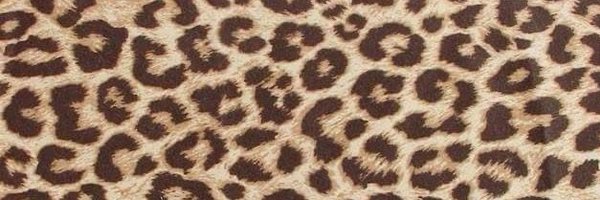 licorlima Profile Banner