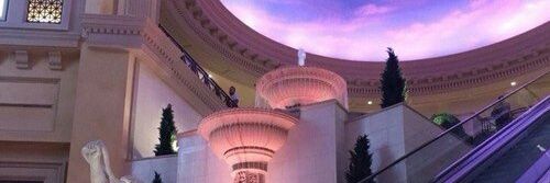sharko_98's profile banner image