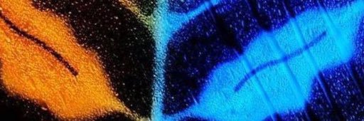 enginkaya1's profile banner image