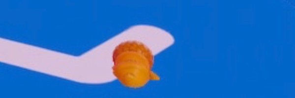 Hiimacaron0811 Profile Banner