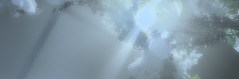 s o n u🍮 banner