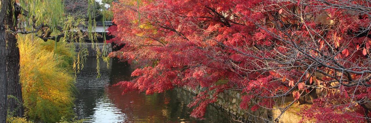 しろがねMk-Ⅱリペアード banner