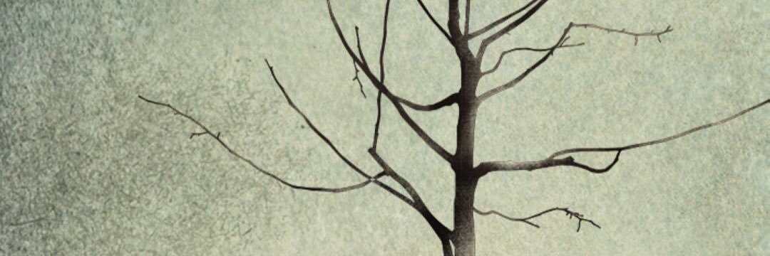 johny_wm's profile banner image