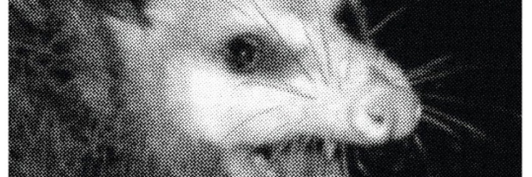 aliraesmith's profile banner image