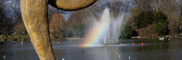 CClements29 Profile Banner