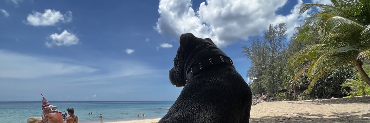 jirvine666's profile banner image