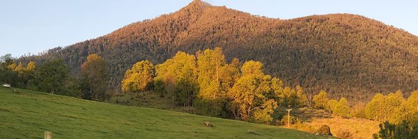 claudiolavado Profile Banner