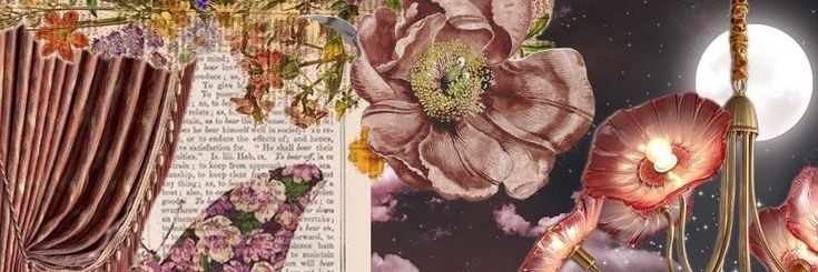 Nova banner